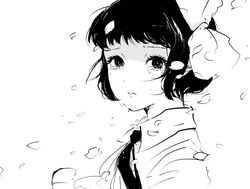 Post 1082982