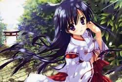 Post 104521