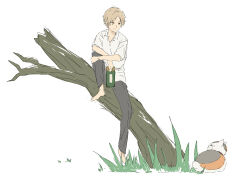 Post 6057164