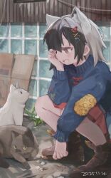 Post 6234041