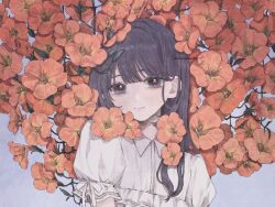 Post 6256166