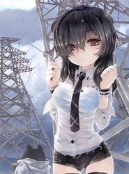 Post 1097775