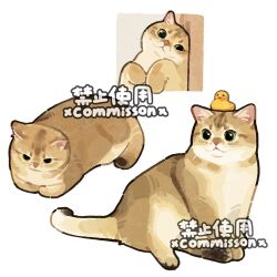 Post 6304406