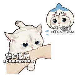 Post 6304418