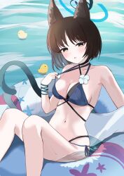 Post 6336052