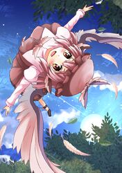 Post 1110017