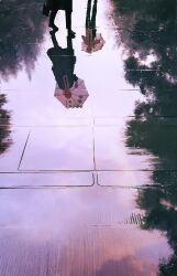Post 6421481