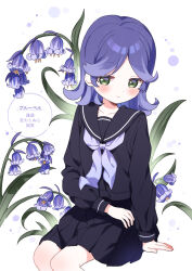 Post 6561468
