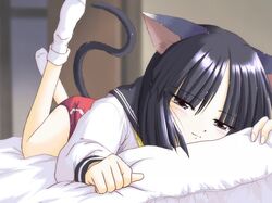 Post 1123586