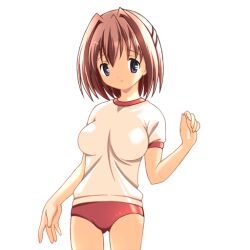 Post 6729098