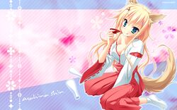 Post 1135268