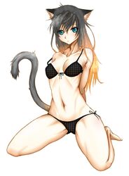 Post 1133350