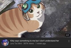 Post 6979325