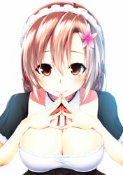 Post 1137085