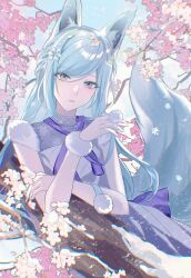 Post 6980524