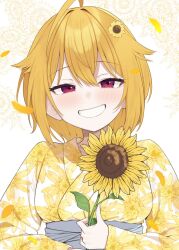 Post 7003907