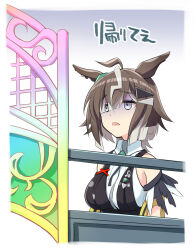 Post 7052591