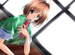 Post 7102837