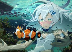 Post 7099065