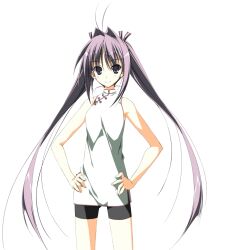 Post 7102806