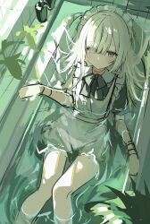 Post 7120521