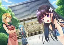 Post 1202783