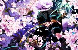 Post 1214893