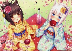 Post 1220667