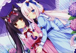 Post 1220663
