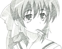 Post 1222455