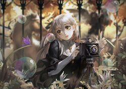 Post 1229129