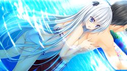Post 1228833