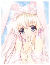 Post 1232625
