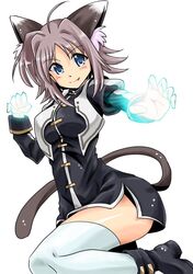 Post 1233247