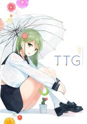 Post 1237439