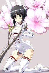 Post 1237995