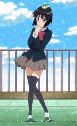 Post 1239472