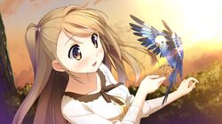 Post 1245431