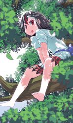 Post 1255283