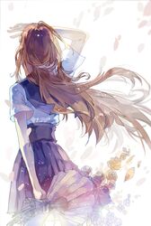 Post 1261632