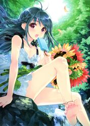 Post 1262309