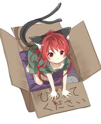 Post 1270639