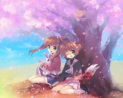 Post 1270582