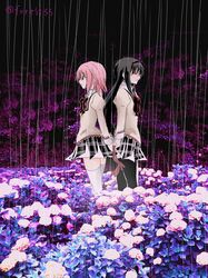 Post 1272066
