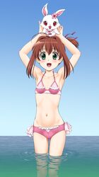 Post 1278978