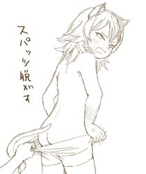 Post 1296090