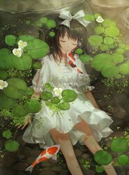 Post 1303268