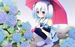 Post 1310893