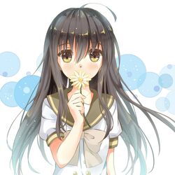 Post 1333362