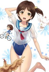 Post 1340572